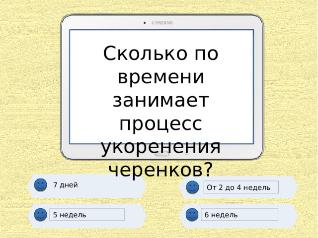 Сколько по времени занимает процесс укоренения черенков? 7 дней От 2 до 4 недель 5 недель 6 недель 