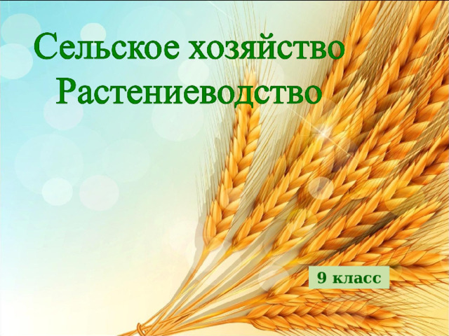 9 класс 