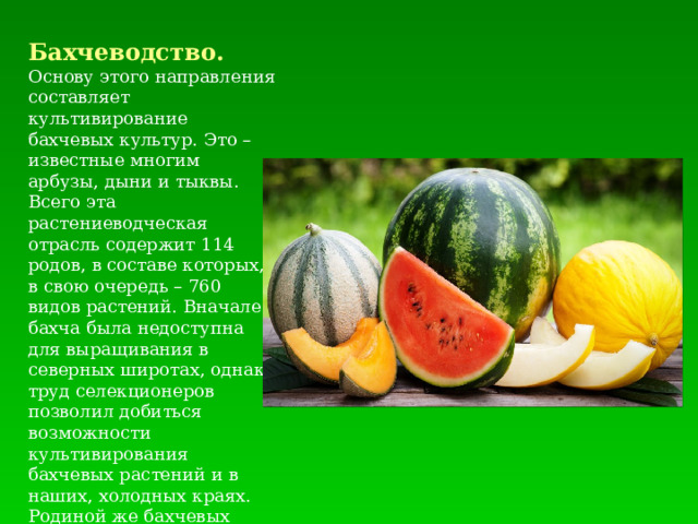 Бахчеводство. Основу этого направления составляет культивирование бахчевых культур. Это – известные многим арбузы, дыни и тыквы. Всего эта растениеводческая отрасль содержит 114 родов, в составе которых, в свою очередь – 760 видов растений. Вначале бахча была недоступна для выращивания в северных широтах, однако труд селекционеров позволил добиться возможности культивирования бахчевых растений и в наших, холодных краях. Родиной же бахчевых культур считаются африканские, американские, азиатские субтропики и тропики. 
