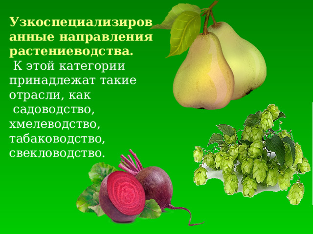 Узкоспециализированные направления растениеводства.  К этой категории принадлежат такие отрасли, как  садоводство, хмелеводство, табаководство, свекловодство. 