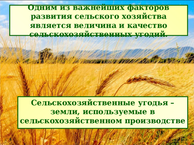 Одним из важнейших факторов развития сельского хозяйства является величина и качество сельскохозяйственных угодий. Сельскохозяйственные угодья – земли, используемые в сельскохозяйственном производстве 