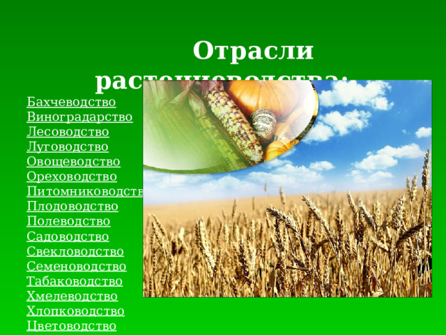  Отрасли растениеводства: Бахчеводство Виноградарство Лесоводство Луговодство Овощеводство Ореховодство Питомниководство Плодоводство Полеводство Садоводство Свекловодство Семеноводство Табаководство Хмелеводство Хлопководство Цветоводство 