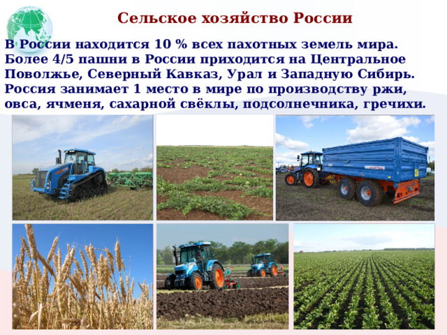 Сельское хозяйство России В России находится 10 % всех пахотных земель мира. Более 4/5 пашни в России приходится на Центральное Поволжье, Северный Кавказ, Урал и Западную Сибирь. Россия занимает 1 место в мире по производству ржи, овса, ячменя, сахарной свёклы, подсолнечника, гречихи. 
