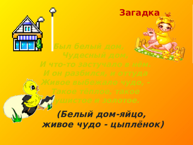  Загадка  Был белый дом,  Чудесный дом,  И что-то застучало в нём.  И он разбился, и оттуда  Живое выбежало чудо, -  Такое тёплое, такое  Пушистое и золотое. (Белый дом-яйцо,  живое чудо - цыплёнок) 
