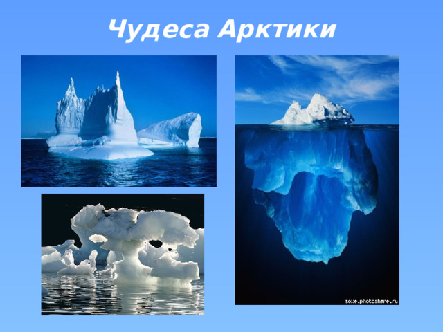 Чудеса Арктики  