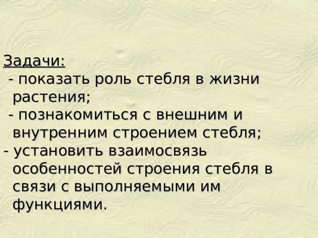 Задачи:  - показать роль стебля в жизни растения;  - познакомиться с внешним и внутренним строением стебля; - установить взаимосвязь особенностей строения стебля в связи с выполняемыми им функциями. 