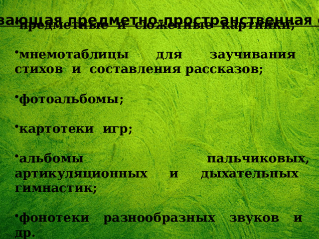 предметные и сюжетные картинки;  мнемотаблицы для заучивания стихов и составления рассказов;  фотоальбомы;  картотеки игр;  альбомы пальчиковых, артикуляционных и дыхательных гимнастик;  фонотеки разнообразных звуков и др. Развивающая предметно-пространственная среда 