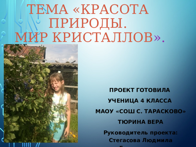 Тема «Красота природы.  Мир кристаллов ». ПРОЕКТ ГОТОВИЛА УЧЕНИЦА 4 КЛАССА МАОУ «СОШ С. ТАРАСКОВО» ТЮРИНА ВЕРА Руководитель проекта: Стегасова Людмила Геннадьевна. 