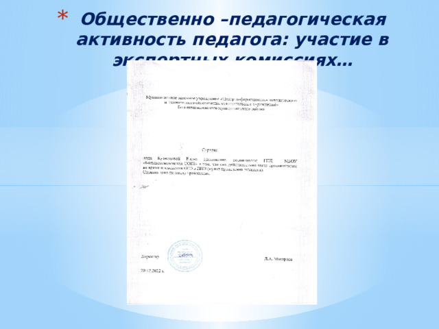 Общественно –педагогическая активность педагога: участие в экспертных комиссиях… 