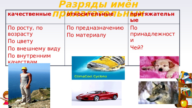 Разряды имён прилагательных качественные относительные По росту, по возрасту По предназначению притяжательные По цвету По принадлежности По материалу По внешнему виду По внутренним качествам Чей? 