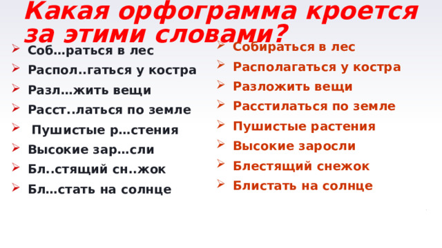 Какая орфограмма кроется за этими словами? Собираться в лес Располагаться у костра Разложить вещи Расстилаться по земле Пушистые растения Высокие заросли Блестящий снежок Блистать на солнце Соб…раться в лес Распол..гаться у костра Разл…жить вещи Расст..латься по земле  Пушистые р…стения Высокие зар…сли Бл..стящий сн..жок Бл…стать на солнце     