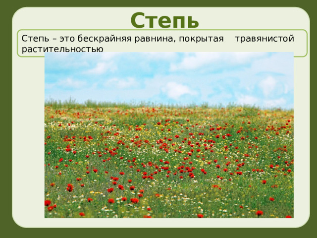 Степь Степь – это бескрайняя равнина, покрытая травянистой растительностью 