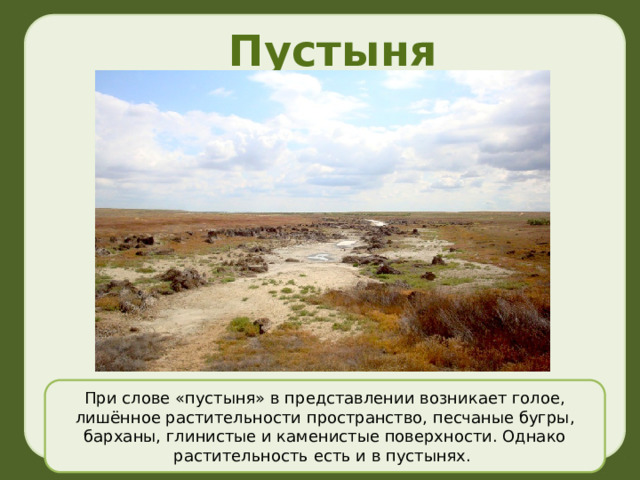 Пустыня При слове «пустыня» в представлении возникает голое, лишённое растительности пространство, песчаные бугры, барханы, глинистые и каменистые поверхности. Однако растительность есть и в пустынях. 