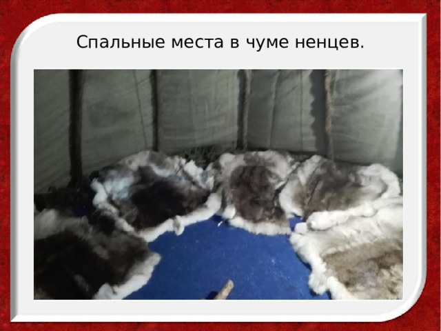 Спальные места в чуме ненцев. 