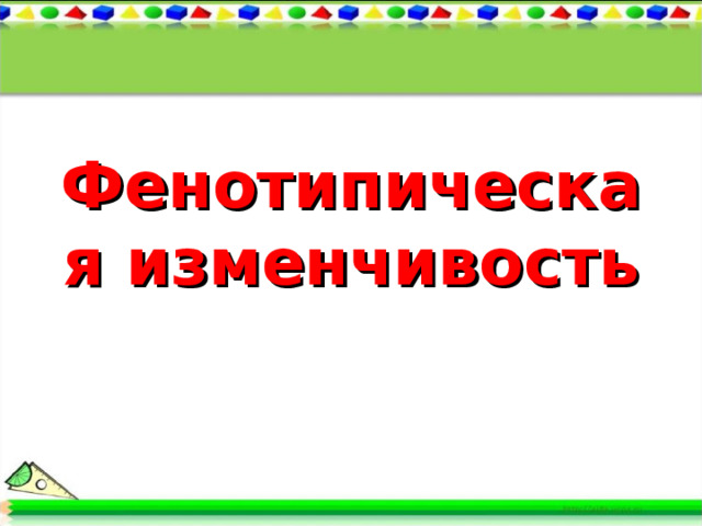 Фенотипическая изменчивость 