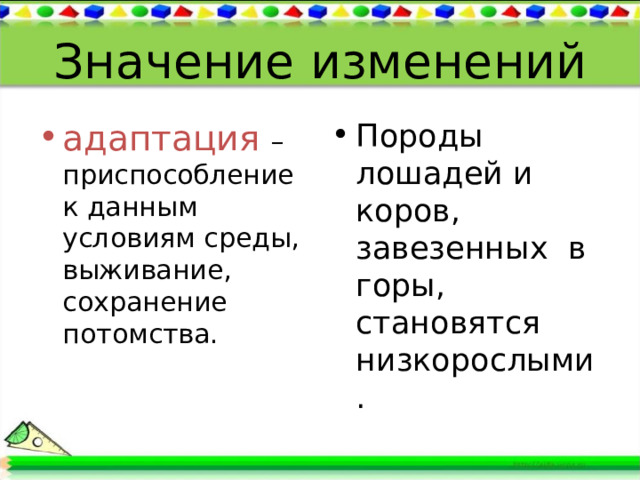 Значение изменений адаптация – приспособление к данным условиям среды, выживание, сохранение потомства. Породы лошадей и коров, завезенных в горы, становятся низкорослыми. 