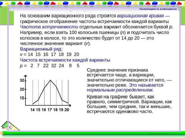 Закономерности изменчивости 