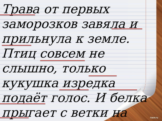 Трава от первых заморозков завяла и прильнула к земле. Птиц совсем не слышно, только кукушка изредка подаёт голос. И белка прыгает с ветки на ветку. Природа ждет прихода зимы. 