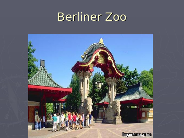 Berliner Zoo 