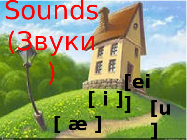 Sounds  (Звуки) [ei] [ i ]   [u] [ æ ] 