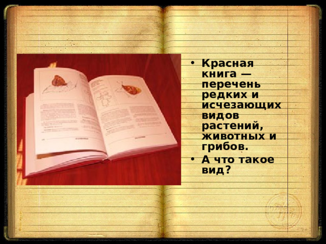 Красная книга — перечень редких и исчезающих видов растений, животных и грибов. А что такое вид? 