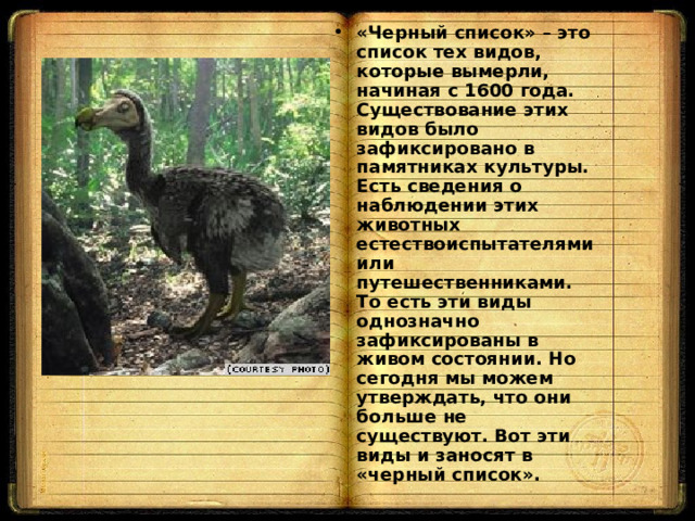 «Черный список» – это список тех видов, которые вымерли, начиная с 1600 года. Существование этих видов было зафиксировано в памятниках культуры. Есть сведения о наблюдении этих животных естествоиспытателями или путешественниками. То есть эти виды однозначно зафиксированы в живом состоянии. Но сегодня мы можем утверждать, что они больше не существуют. Вот эти виды и заносят в «черный список».  