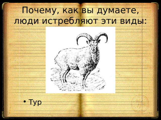 Почему, как вы думаете, люди истребляют эти виды: Тур 