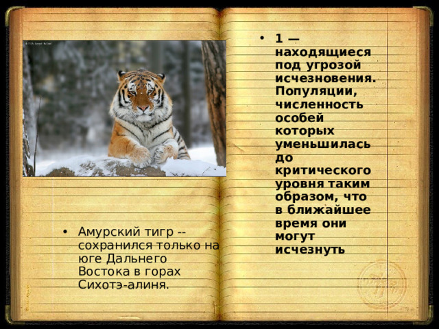 1 — находящиеся под угрозой исчезновения. Популяции, численность особей которых уменьшилась до критического уровня таким образом, что в ближайшее время они могут исчезнуть Амурский тигр -- сохранился только на юге Дальнего Востока в горах Сихотэ-алиня. 