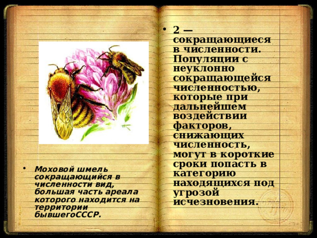 2 — сокращающиеся в численности. Популяции с неуклонно сокращающейся численностью, которые при дальнейшем воздействии факторов, снижающих численность, могут в короткие сроки попасть в категорию находящихся под угрозой исчезновения. Моховой шмель сокращающийся в численности вид, большая часть ареала которого находится на территории бывшегоСССР.  