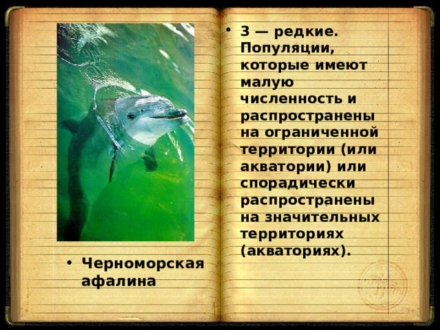 3 — редкие. Популяции, которые имеют малую численность и распространены на ограниченной территории (или акватории) или спорадически распространены на значительных территориях (акваториях). Черноморская афалина 