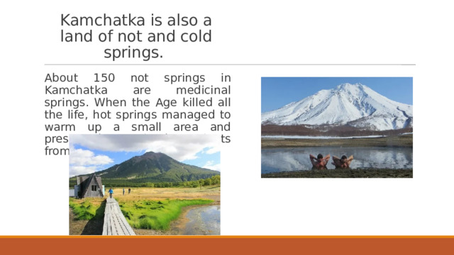 Kamchatka is also a land of not and cold springs. About 150 not springs in Kamchatka are medicinal springs. When the Age killed all the life, hot springs managed to warm up a small area and preserved some kinds of plants from those times. 