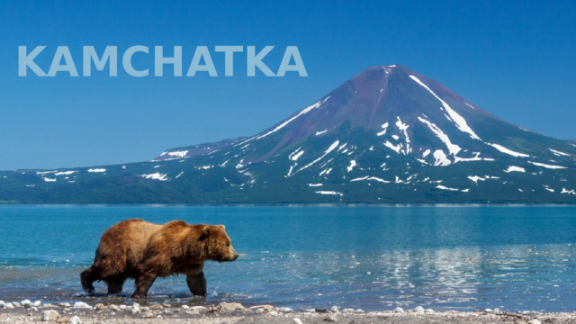 KAMCHATKA 