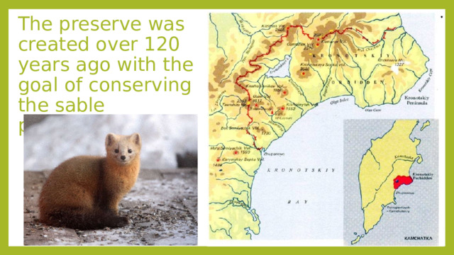 The preserve was created over 120 years ago with the goal of conserving the sable population 
