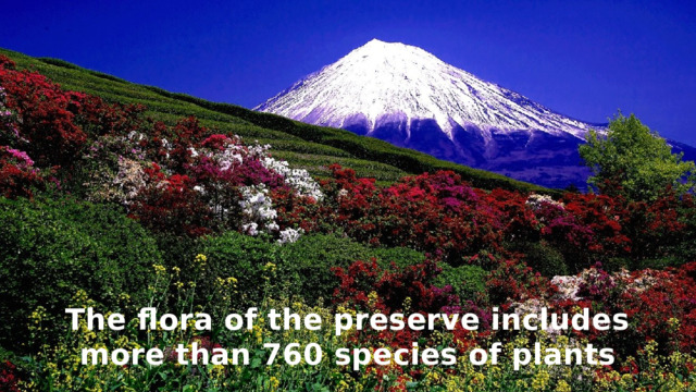 The flora of the preserve includes more than 760 species of plants 