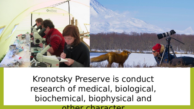 Kronotsky Preserve is conduct research of medical, biological, biochemical, biophysical and other character 