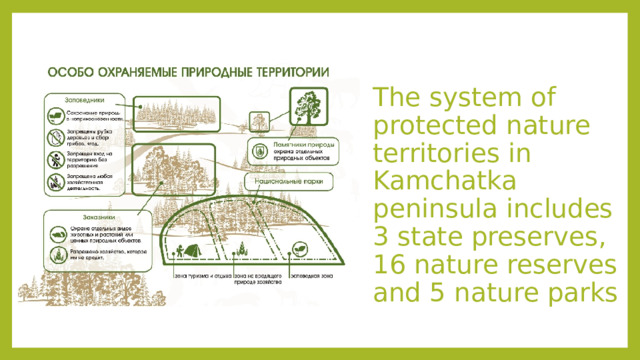 The system of protected nature territories in Kamchatka peninsula includes 3 state preserves, 16 nature reserves and 5 nature parks 