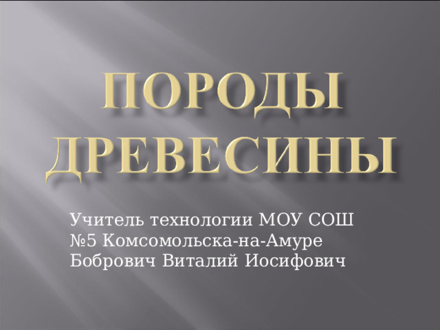 Учитель технологии МОУ СОШ №5 Комсомольска-на-Амуре Бобрович Виталий Иосифович 