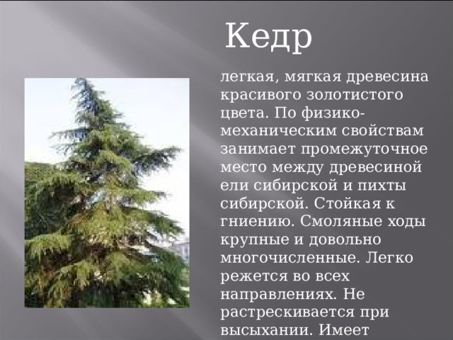Кедр легкая, мягкая древесина красивого золотистого цвета. По физико-механическим свойствам занимает промежуточное место между древесиной ели сибирской и пихты сибирской. Стойкая к гниению. Смоляные ходы крупные и довольно многочисленные. Легко режется во всех направлениях. Не растрескивается при высыхании. Имеет красивую текстуру 
