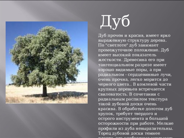 Дуб Дуб прочен и красив, имеет ярко выраженную структуру дерева. По 