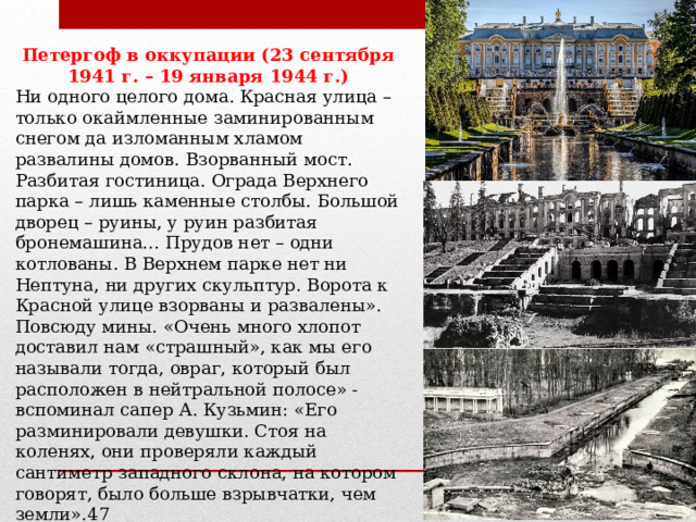 Петергоф в оккупации (23 сентября 1941 г. – 19 января 1944 г.) Ни одного целого дома. Красная улица – только окаймленные заминированным снегом да изломанным хламом развалины домов. Взорванный мост. Разбитая гостиница. Ограда Верхнего парка – лишь каменные столбы. Большой дворец – руины, у руин разбитая бронемашина… Прудов нет – одни котлованы. В Верхнем парке нет ни Нептуна, ни других скульптур. Ворота к Красной улице взорваны и развалены». Повсюду мины. «Очень много хлопот доставил нам «страшный», как мы его называли тогда, овраг, который был расположен в нейтральной полосе» - вспоминал сапер А. Кузьмин: «Его разминировали девушки. Стоя на коленях, они проверяли каждый сантиметр западного склона, на котором говорят, было больше взрывчатки, чем земли».47 После освобождения Петергофа 78% жилищной площади оказалась разрушенной. Взорваны водонапорная станция и водокачка, разрушена канализация и электросеть. 