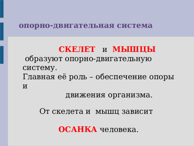 опорно-двигательная система  СКЕЛЕТ и МЫШЦЫ   образуют опорно-двигательную систему. Главная её роль – обеспечение опоры и  движения организма. От скелета и мышц зависит  ОСАНКА человека.  