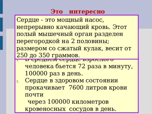 Это интересно Сердце - это мощный насос, непрерывно качающий кровь. Этот полый мышечный орган разделен перегородкой на 2 половины; размером со сжатый кулак, весит от 250 до 350 граммов. В среднем сердце взрослого человека бьется 72 раза в минуту, 100000 раз в день. Сердце в здоровом состоянии прокачивает 7600 литров крови почти  через 100000 километров кровеносных сосудов в день. 