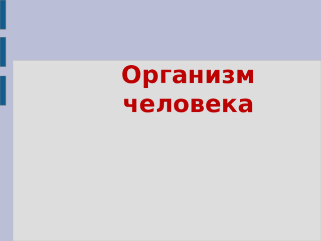 Организм человека   