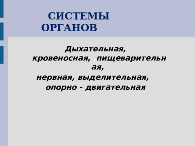 СИСТЕМЫ ОРГАНОВ   Дыхательная, кровеносная, , пищеварительная, нервная, выделительная, опорно - двигательная 