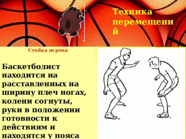 Техника перемещений Стойка игрока Баскетболист находится на расставленных на ширину плеч ногах, колени согнуты, руки в положении готовности к действиям и находятся у пояса    