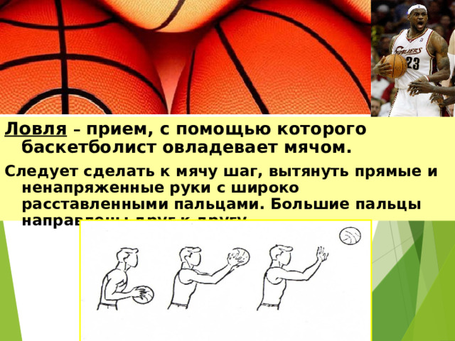 Ловля  – прием, с помощью которого баскетболист овладевает мячом. Следует сделать к мячу шаг, вытянуть прямые и ненапряженные руки с широко расставленными пальцами. Большие пальцы направлены друг к другу.  