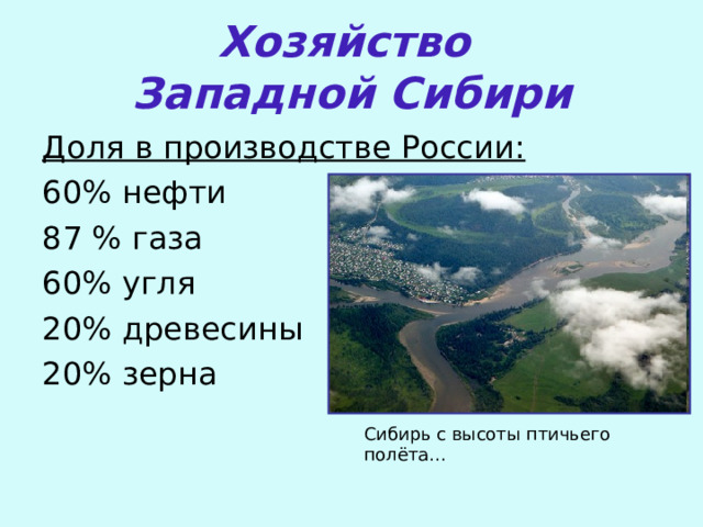 Хозяйство  Западной Сибири Доля в производстве России: 60% нефти 87 % газа 60% угля 20% древесины 20% зерна Сибирь с высоты птичьего полёта… 