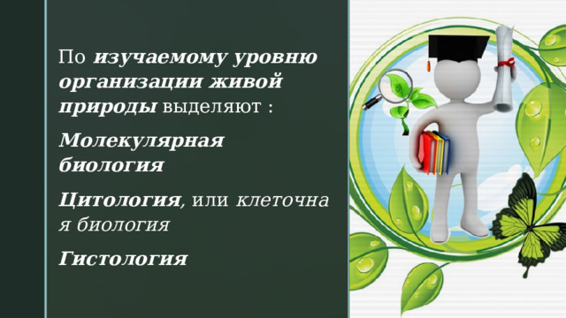 По  изучаемому уровню организации живой природы  выделяют : Молекулярная биология Цитология ,  или  клеточная биология Гистология   