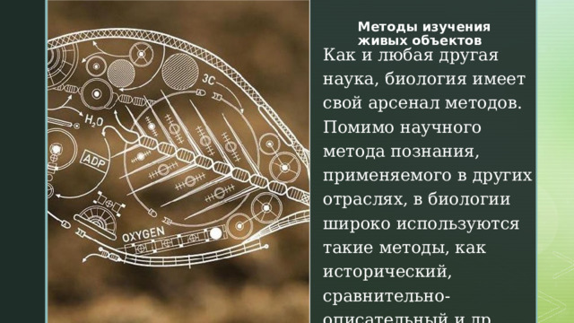 Методы изучения живых объектов   Как и любая другая наука, биология имеет свой арсенал методов. Помимо научного метода познания, применяемого в других отраслях, в биологии широко используются такие методы, как исторический, сравнительно-описательный и др. 
