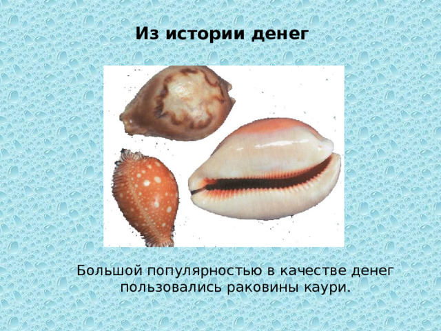 Из истории денег Большой популярностью в качестве денег пользовались раковины каури. 